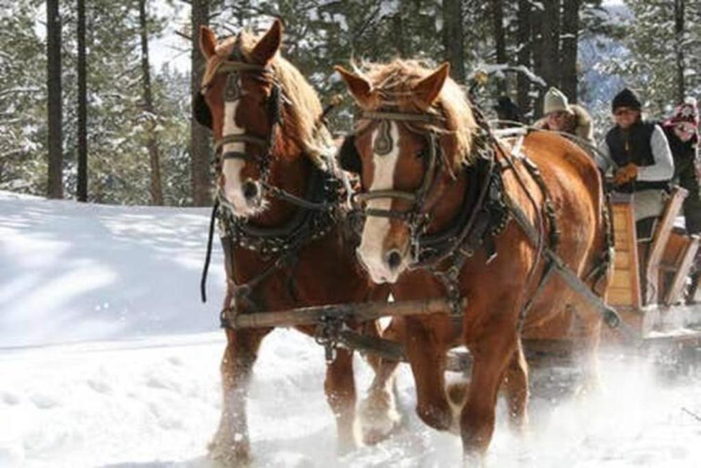 Country Sunshine Bed And Breakfast Hermosa Eksteriør bilde