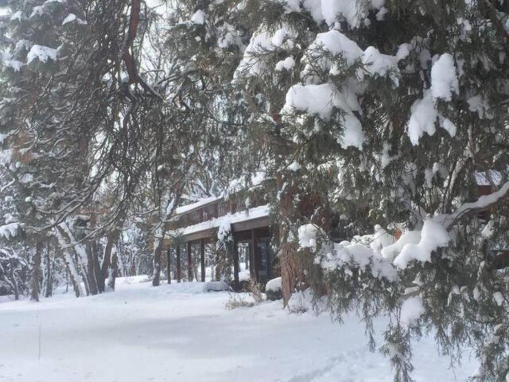 Country Sunshine Bed And Breakfast Hermosa Eksteriør bilde